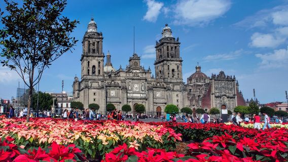 Mexico CityTours