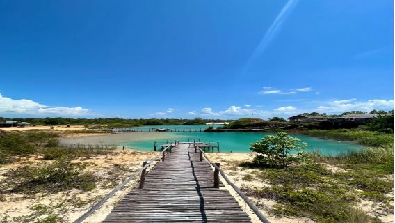 lawatan sehari sewaan peribadi Pulau Bintan bandar klasik romantik sewaan peribadi [boleh digabungkan dengan hutan bakau kunang-kunang bukit pasir emas