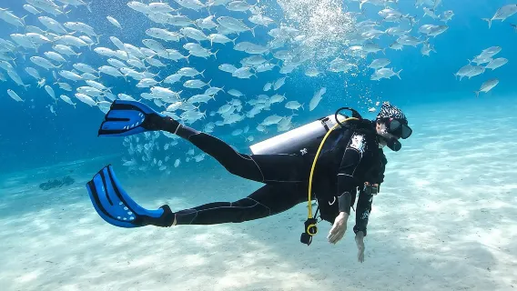 1-tägiges Tauchen und Schnorcheln auf Racha Yai und Racha Noi in Phuket, Thailand [Option für geführtes Tauchen ohne Zertifikat 1:1 mit Tauchlehrer, mehrsprachige Anleitung auf Chinesisch/Englisch/Kantonesisch, Unterwasserfotografie vom Boot auf Racha]
