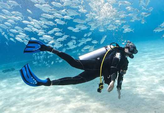 1-day diving and snorkeling experience at Racha Yai Island + Racha Noi Island in Phuket, Thailand [Optional 1-on-1 instructor for deep diving...
