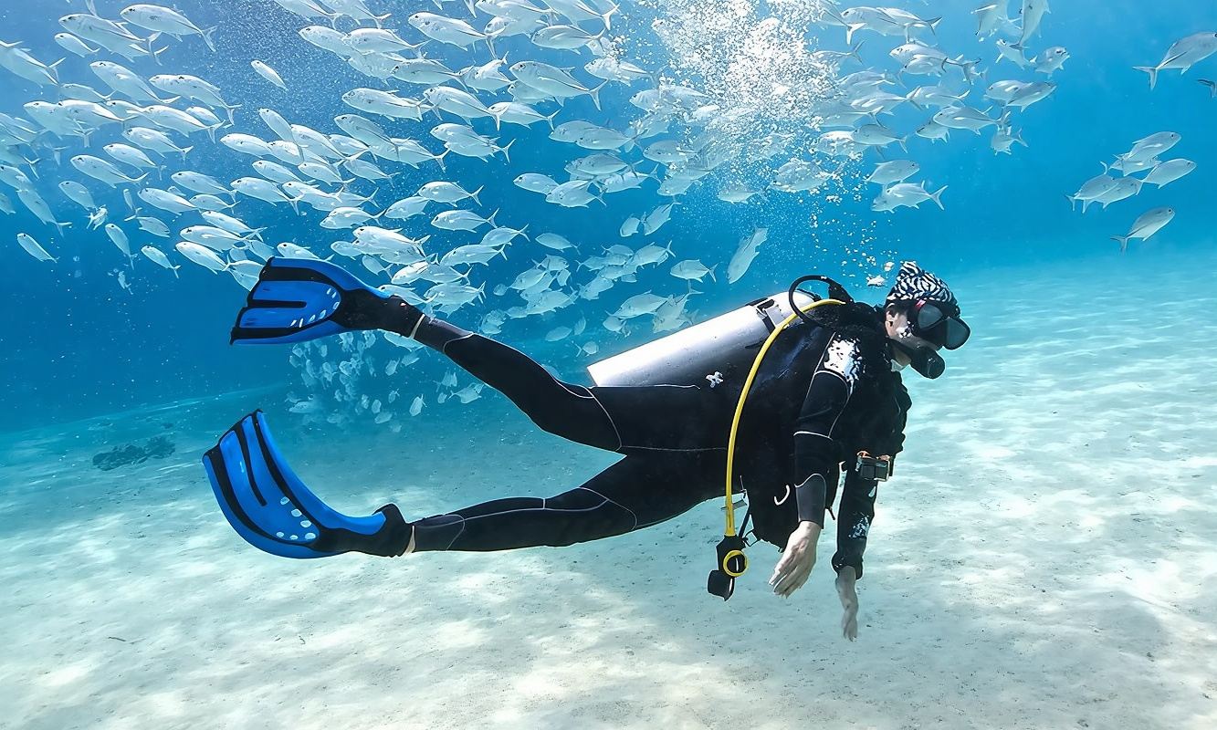 태국 푸켓 라챠야이 섬+라차노이 섬 체험 다이빙 스노클링 1일 [1:1 코치 무자격 딥 다이빙 옵션 가능 중/영/광둥어 다국어 코치 라차 출항 수중 촬영]