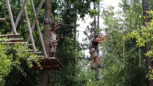 Приключенческий парк «Тропа деревьев» в Орландо