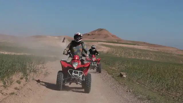Half-day quad bike in the palmgrove & rock desert