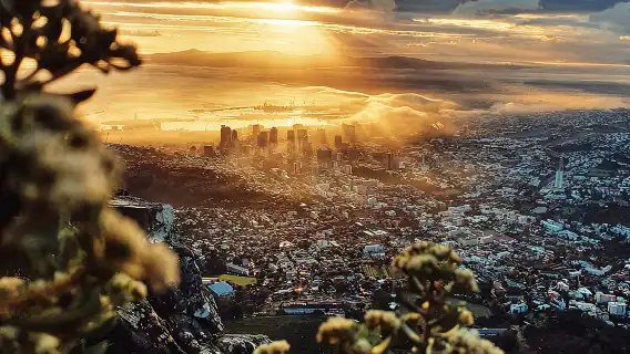 Cape Town: Lion's Head Sunrise/Sunset Hike