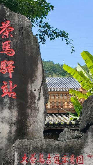 【純玩私家團不拼陌生人】普洱茶馬古道遺址+那柯里古鎮一日遊