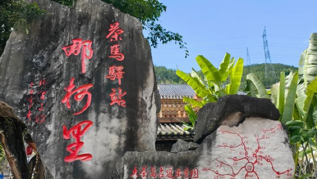 【純玩私家團不拼陌生人】普洱茶馬古道遺址+那柯里古鎮一日遊