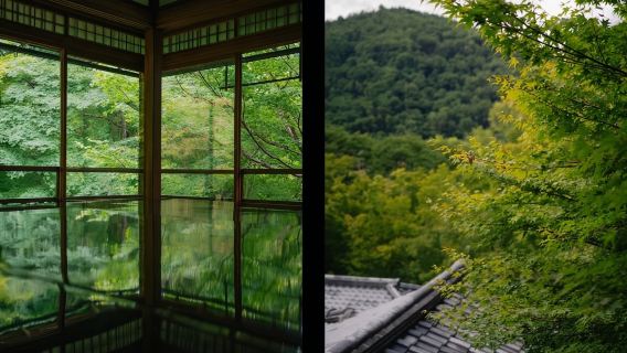 日本大阪來回-瑠璃光院-三千院/貴船神社/紅葉巡禮紅葉季.