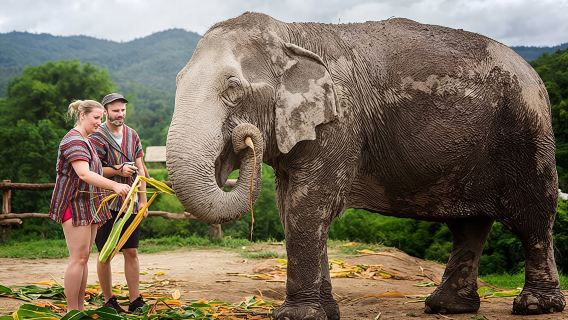 Lawatan sehari Chiang Mai Eagle Track + Sathian House/Chaplin Elephant Sanctuary