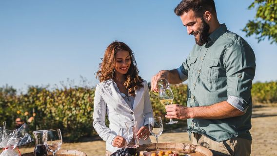 perjalanan satu hari ke Parade Penguin, Pengamatan Satwa Liar, dan Phillip Island dari Melbourne