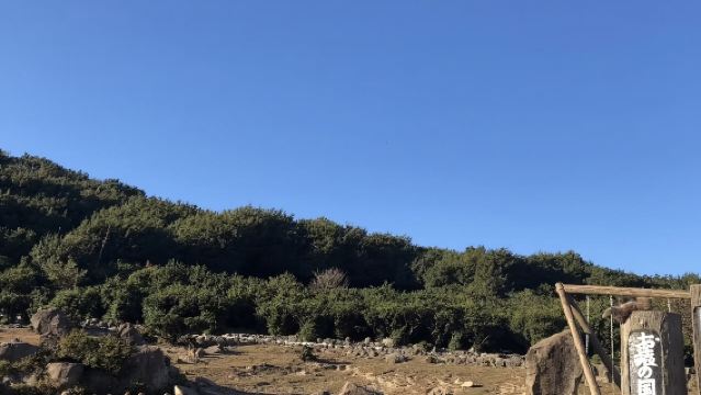 小豆島橄欖公園+寒霞溪+Chōshi valley Monkey Kingdom Natural Zoo一日遊