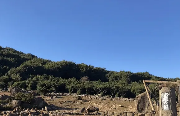 小豆島橄欖公園+寒霞溪纜車 山頂站+Chōshi valley Monkey Kingdom Natural Zoo一日遊