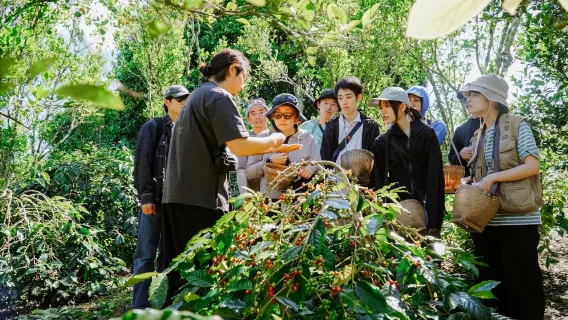 Kintamani-Kaffeekultur-Tour: Farmspaziergang, Röstung & Verkostung