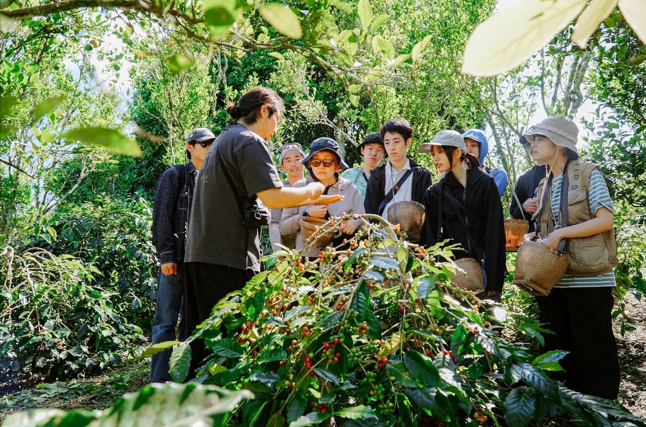 Tour della cultura del caffè di Kintamani: Passeggiata in fattoria, tostatura e degustazione