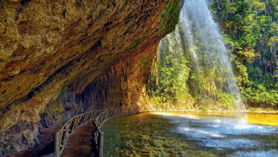 Da Nha Trang: tour di Dalat di 1 giorno