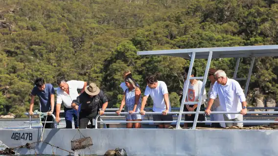 牡蠣和珍珠愛好者之旅