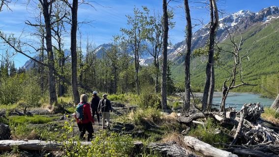 From Anchorage: Valley and Forest Hike with Naturalist Guide