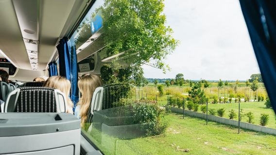 Paris: Normandy D-Day Sites Guided Day Trip with Lunch