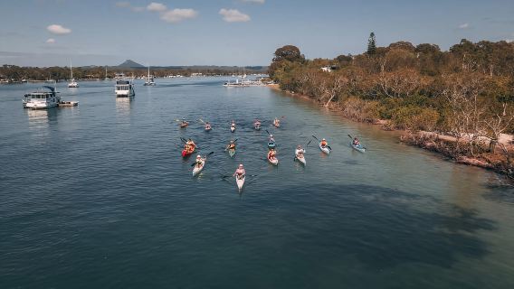 Noosa River: Mangroves and Mansions Guided Kayak Tour