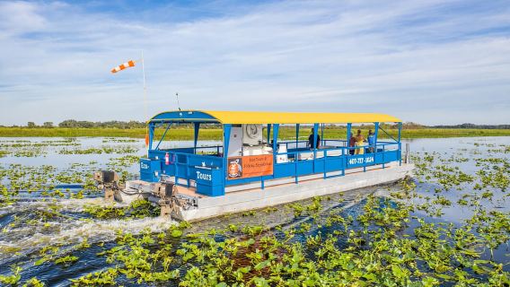 Florida: crociera di 90 minuti nelle Everglades