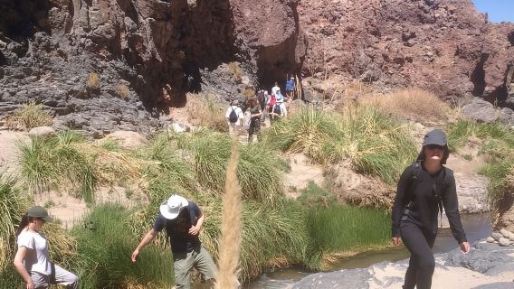 Purilibre: Trekking tra cactus antichi e acque medicinali