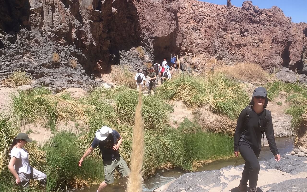 Purilibre : Trekking avec des cactus anciens et des eaux médicinales