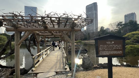 東京：日本花園健行之旅（含茶和甜點）