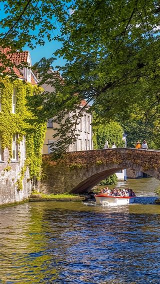 1-day tour to the Basilica of the Holy Blood and the Belfort in Bruges (Amsterdam round-trip | English tour)