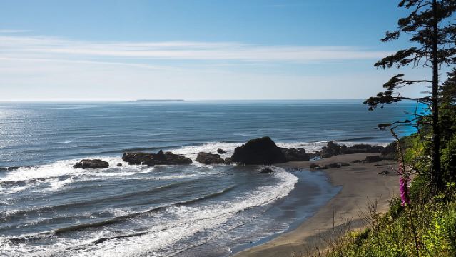 Olympic National Park Day Tour from Seattle