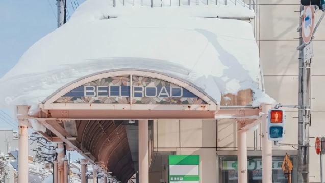 日本札幌來回旭川富良野美瑛經典網紅景點打卡-可包車-精選