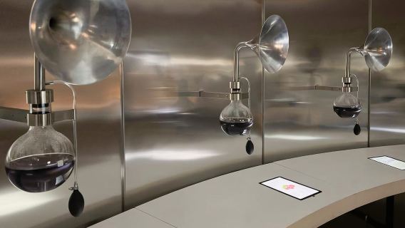 From Santiago: Concha y Toro Marqués Half-Day Wine Tasting