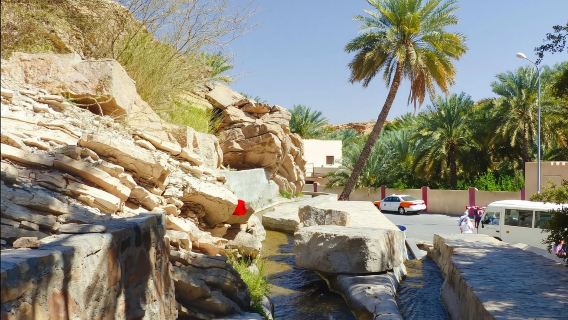 阿曼尼茲瓦｜旅遊陪同翻譯｜展會｜商務考察洽談｜自由行地接｜接機 （可私人定制）