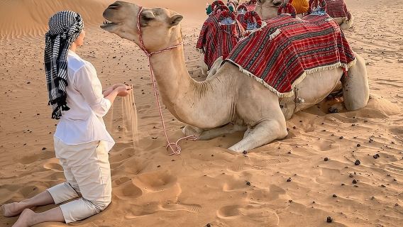 Dubai Morning Safari Tour, Camel, Falcon & Sand Boarding