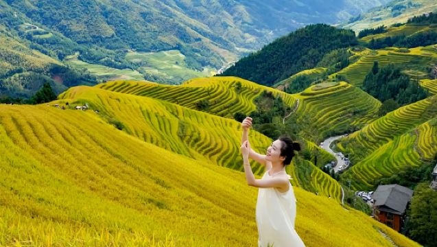 桂林龍脊梯田一日遊+市區上門接【2-8人小團/私家團】