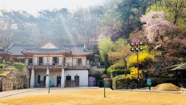 韓國首爾 專業翻譯｜旅遊地陪嚮導｜商務陪同拜訪｜展會翻譯｜自由行地接｜行程規劃定制