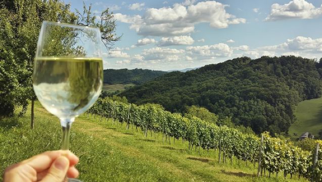 From Zagreb: Fairytale Castle & Wine Tasting & Lunch