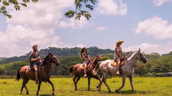Horseback Riding to Conchal Beach from Tamarindo & Flamingo