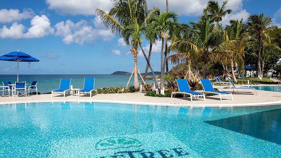 Paradise Taxi & Tours USVI- St.Thomas Airport Transfer to Bolongo Bay / Limetree