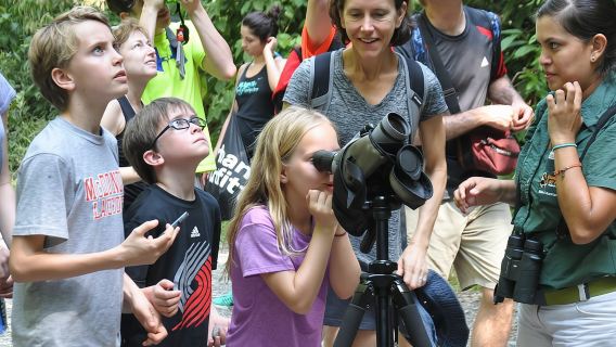 Manuel Antonio National Park Hiking Tour from Jacó