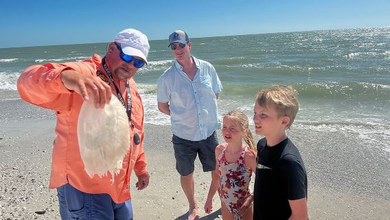 Island Paradise: Dolphin, Shelling, Birding Eco Boat Tour