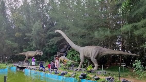 Excursion d'une journée à Batam avec shopping et billet de ferry aller-retour|Indonésie