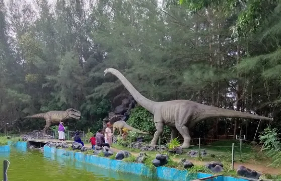 巴淡島一日城市購物遊連來回渡輪門票|印尼