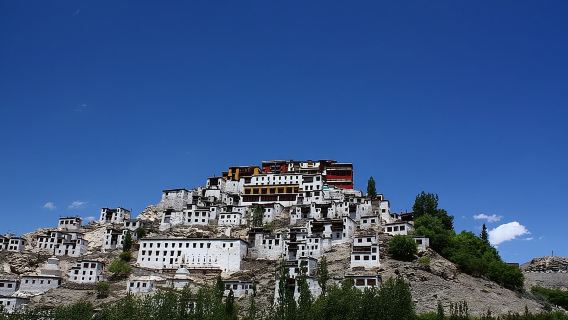 Full Day Leh Monasteries Tour (Shey, Thiksey & Hemis)
