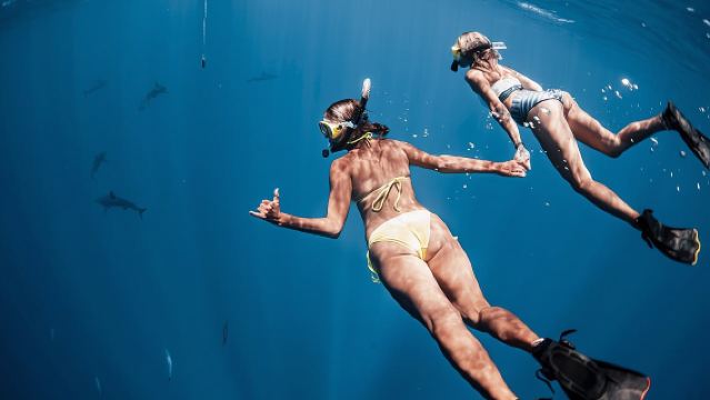 Pengalaman Menyelam di Perairan Terbuka Bersama Hiu di Oahu