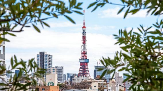 日本日光東照宮+明智平索道+華嚴瀑布+中禪寺湖一日遊