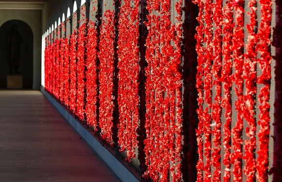 坎培拉全日遊特色