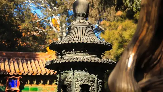 Private Custom Beijing City Day Tour from Tianjin City