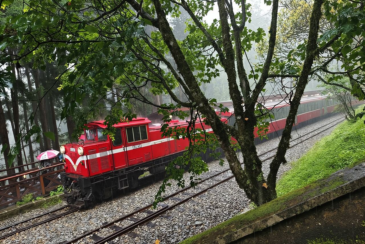 Excursión de un día a Alishan desde Taichung
