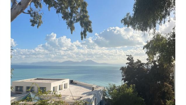 Развлекательный VIP-тур: Медина/Бардо в Тунисе + Сиди-Бу-Саид + Карфаген с трансфером