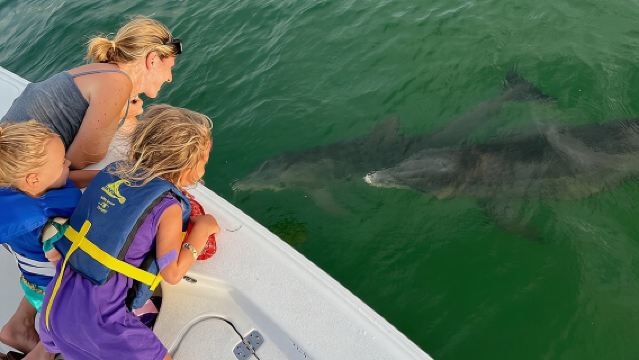 เรือส่วนตัวสำหรับชมโลมา ท่องเที่ยวเกาะ และทัวร์ธรรมชาติ