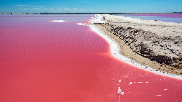 Las Coloradas Pink Lake & Rio Lagartos Guided Tour